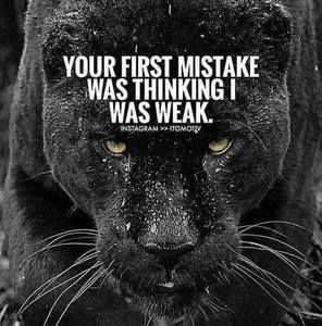 Meet your Posher, Harry